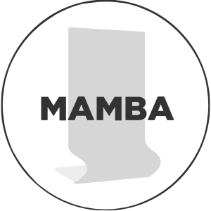 Mamba Part